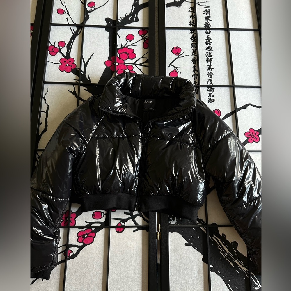 Elodie Black Glossy Cropped Puffer Jacket NWOT